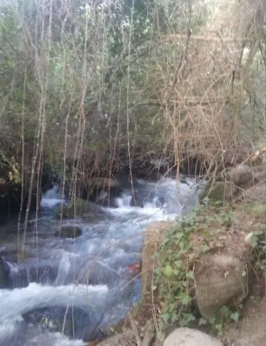 Cortijo La Mata Гранада